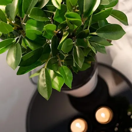 River In The Heart Of Ebi-01297 Bilbao